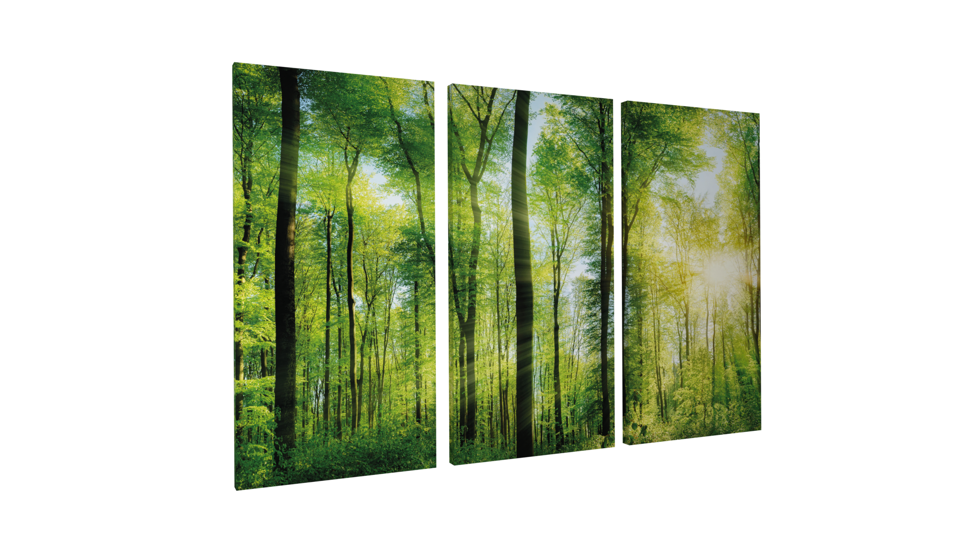 Tableau acoustique soni PICTURE sun-drenched forest montre une forêt, à travers les arbres, le soleil projette ses rayons. Le motif est divisé en un set de 3 pièces.