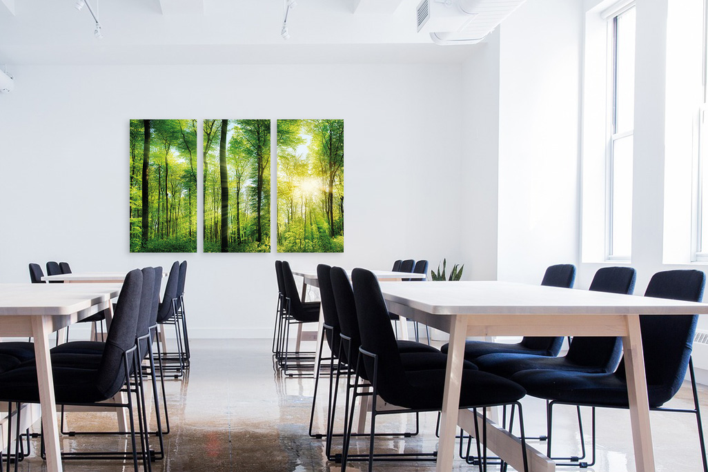 Cantine lumineuse et accueillante avec un jeu de 3 de nos tableaux acoustiques soni PICTURE au mur