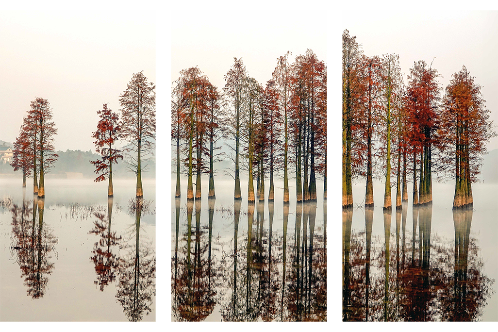 autumn spirit Set